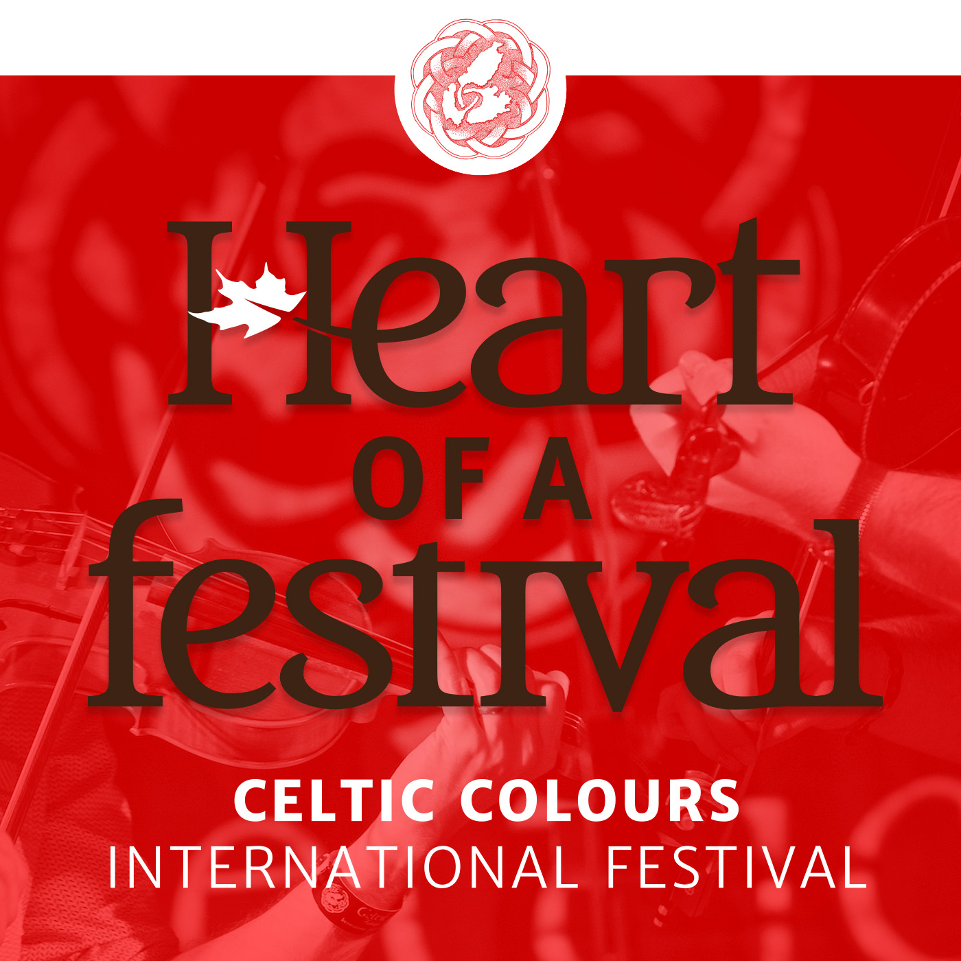 Heart Of A Festival